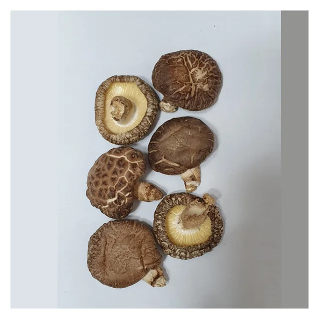 
 Оптовая продажа, высушенный гриб экстракт, черный цветок Dongko  