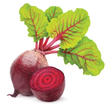 wholesale fresh red beet organic high quality from turkey - buy