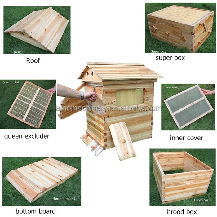 Bee box (11).jpg
