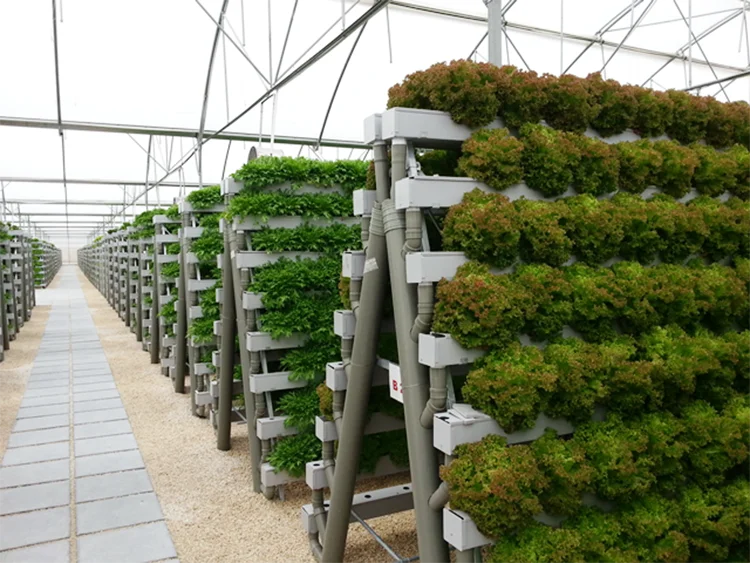 The Most Professional and Customizable Agricultural Vertical Hydroponic Hydroponic Growing System NFT Channel Supplier