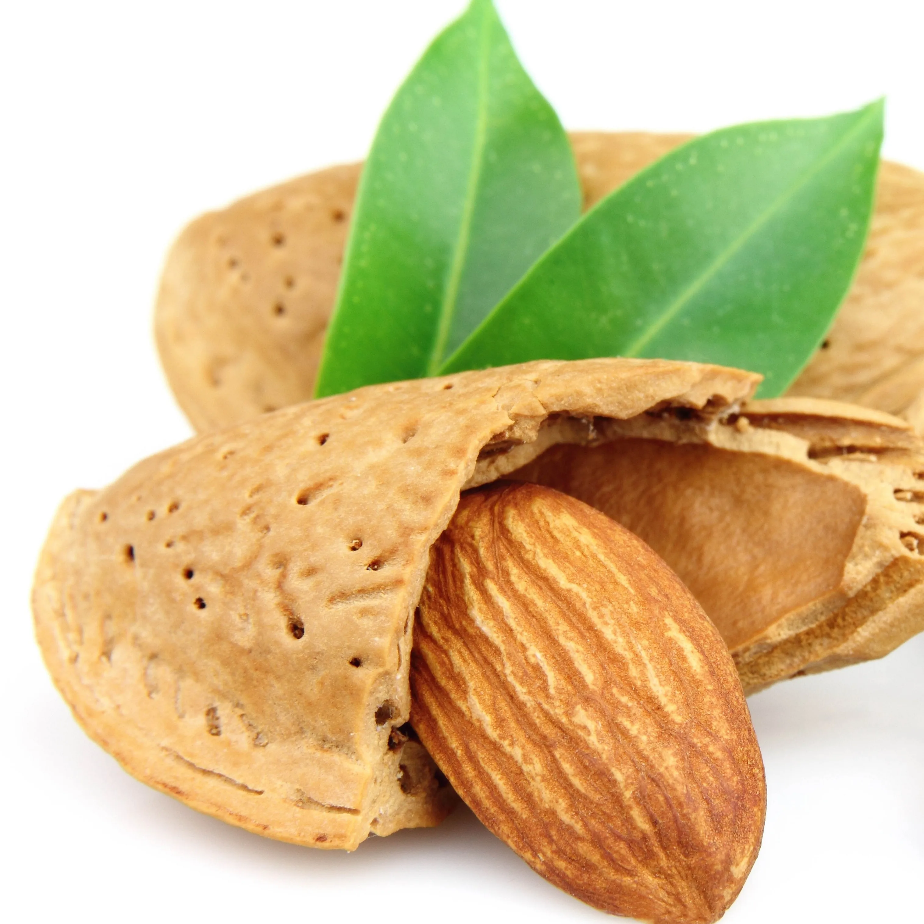Wholesales Price Organic Cashews Raw Nuts To Make Cashew Nuts Buy