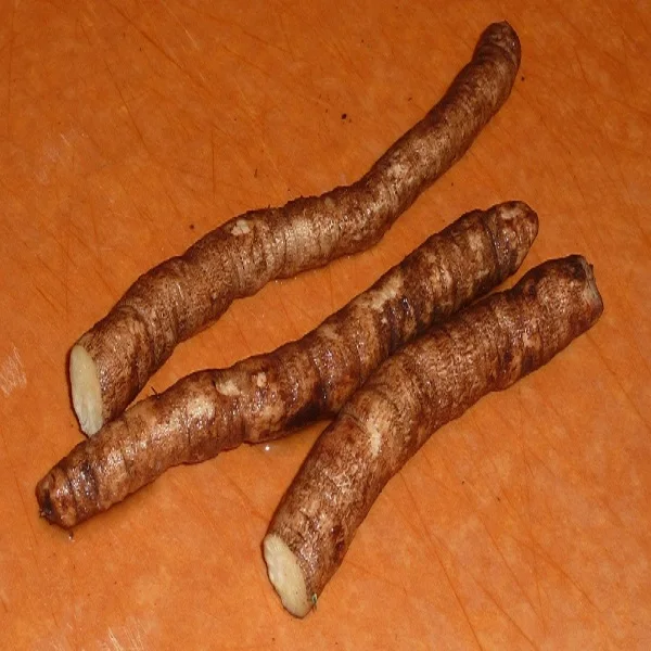 Burdock root.jpg