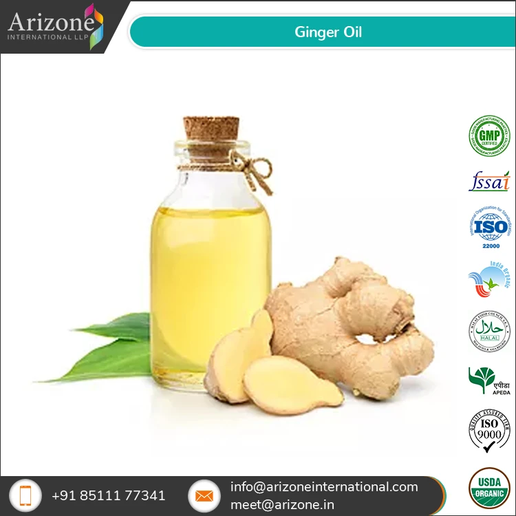 100% чистые оптовые поставки эфирных травяных масел имбиря хорошего качества от надежного поставщика