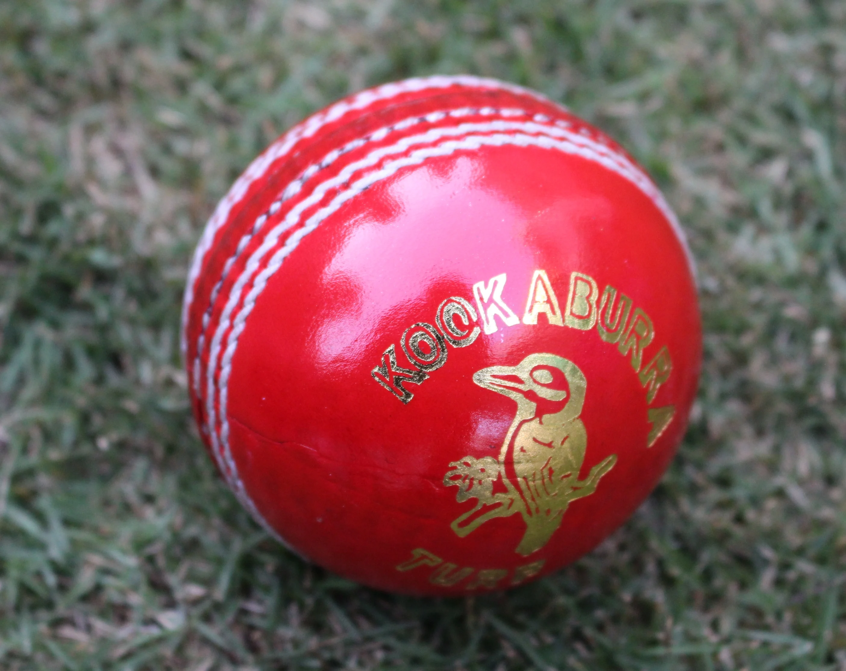 Details about   Special Test Top Grade Leather Balls Lot Hand Stitched 156gm Pack of 4 Balls 