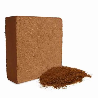 coco peat.jpg
