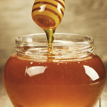 Медовая пчела