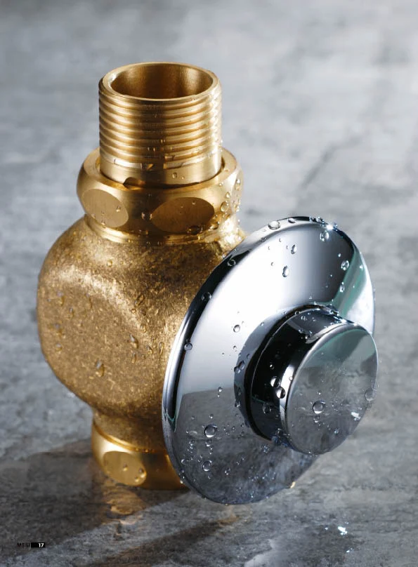 Flush Valve Concealed Manual Water Closet Flush Valve Push Button