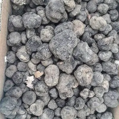 4546448.jpg