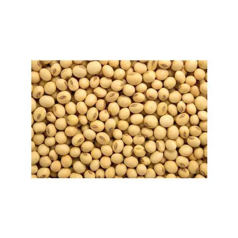 Soybeans-Organic (3).jpg