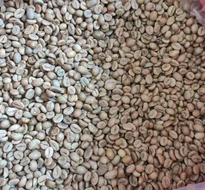 Зеленые кофейные зерна Robusta с высококачественным кофе из Вьетнама для экспортного рынка