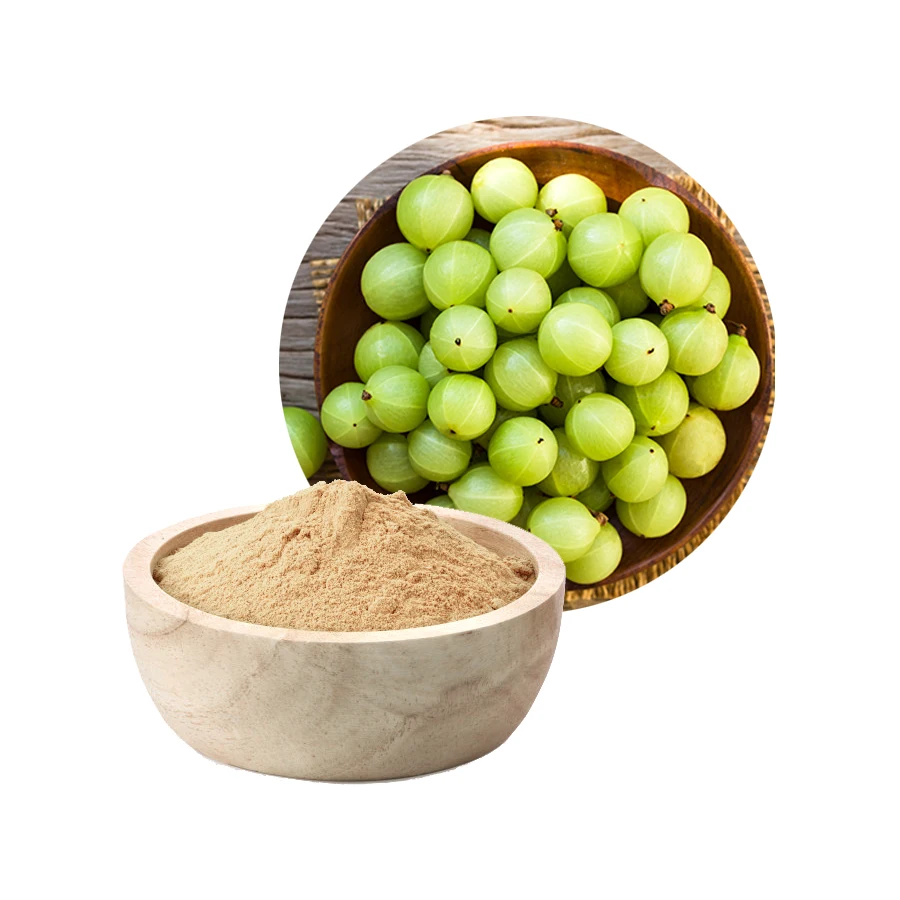 2023 Pure Amla Powder Low Price Indian Gooseberry Fruit for Hair Growth High Quality Organic OEM Manufacturer Best Choice